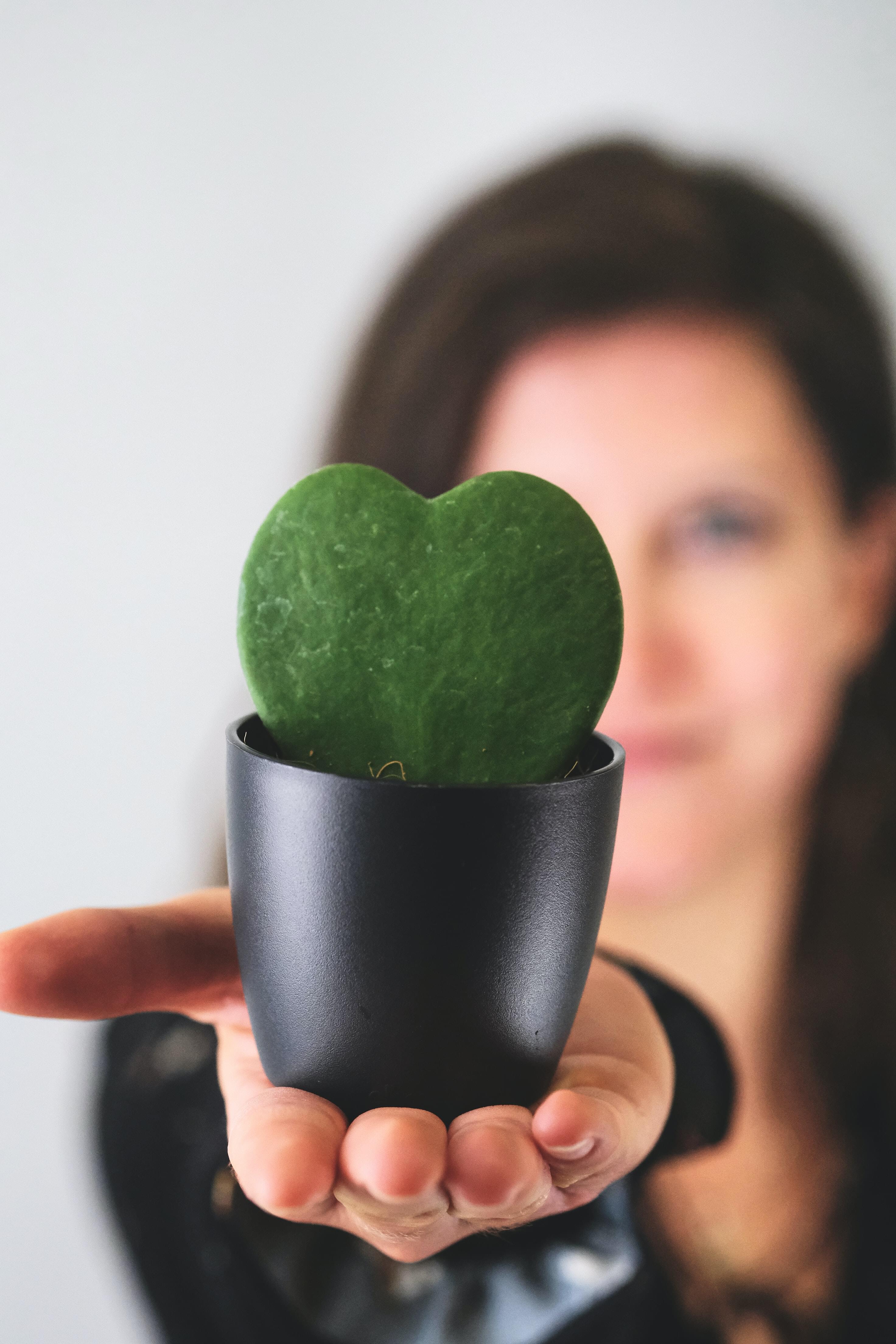 A selective focus photo of a heart-shaped hoya with a blurred woman in the background