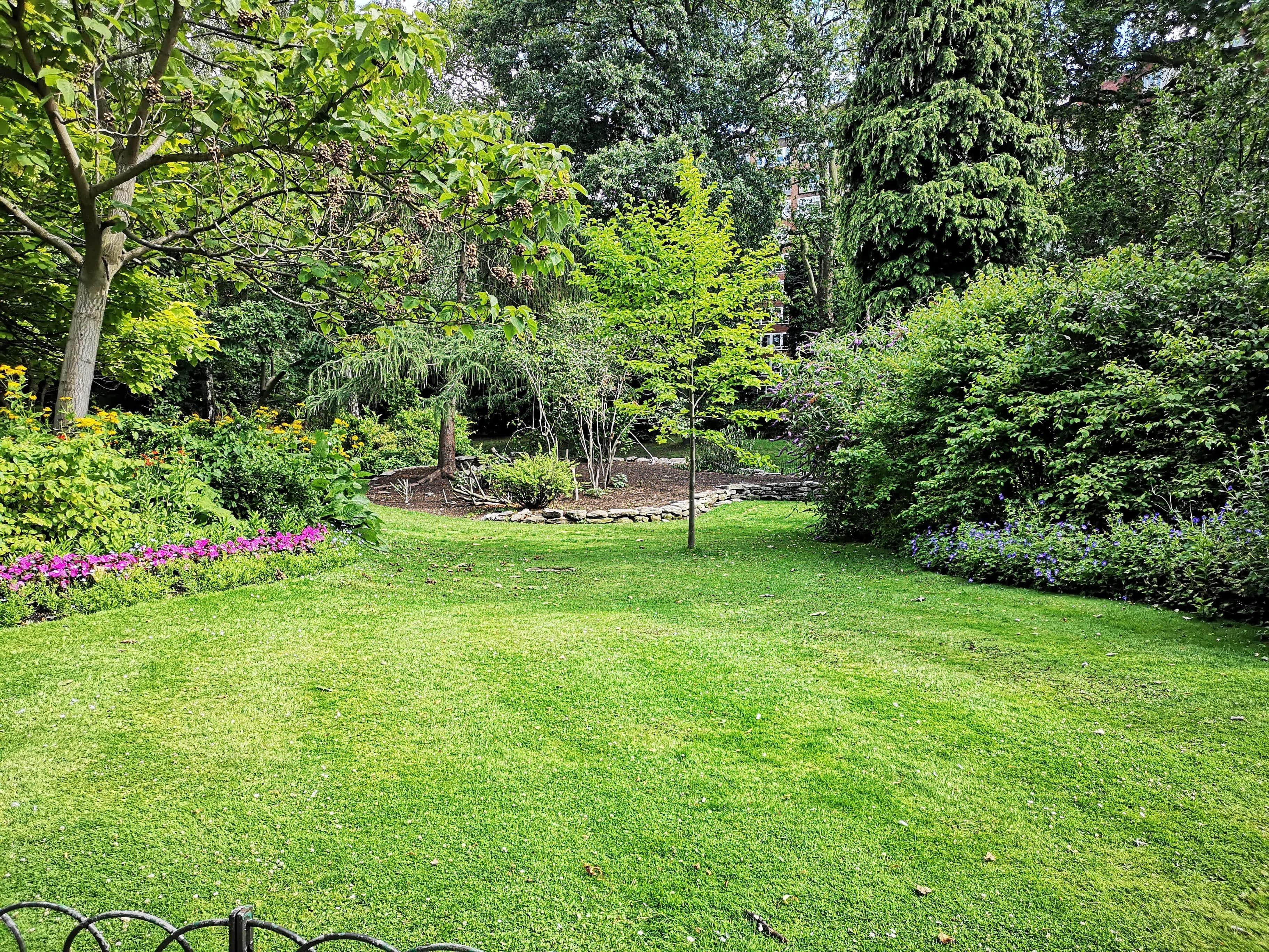 A green garden space with a lawn and large trees