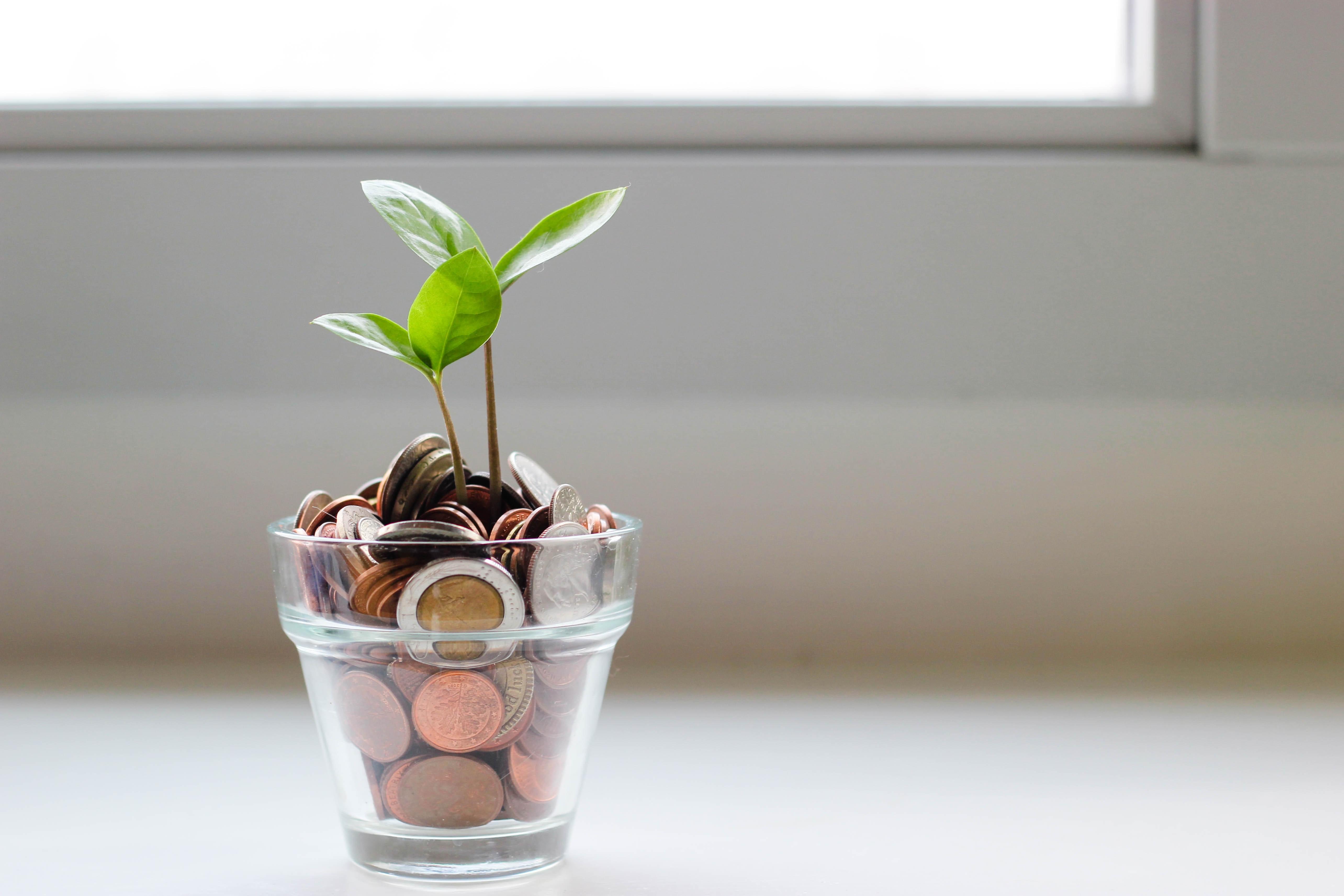 A small glass container filled with U.S. coins with small plants sprouting from them