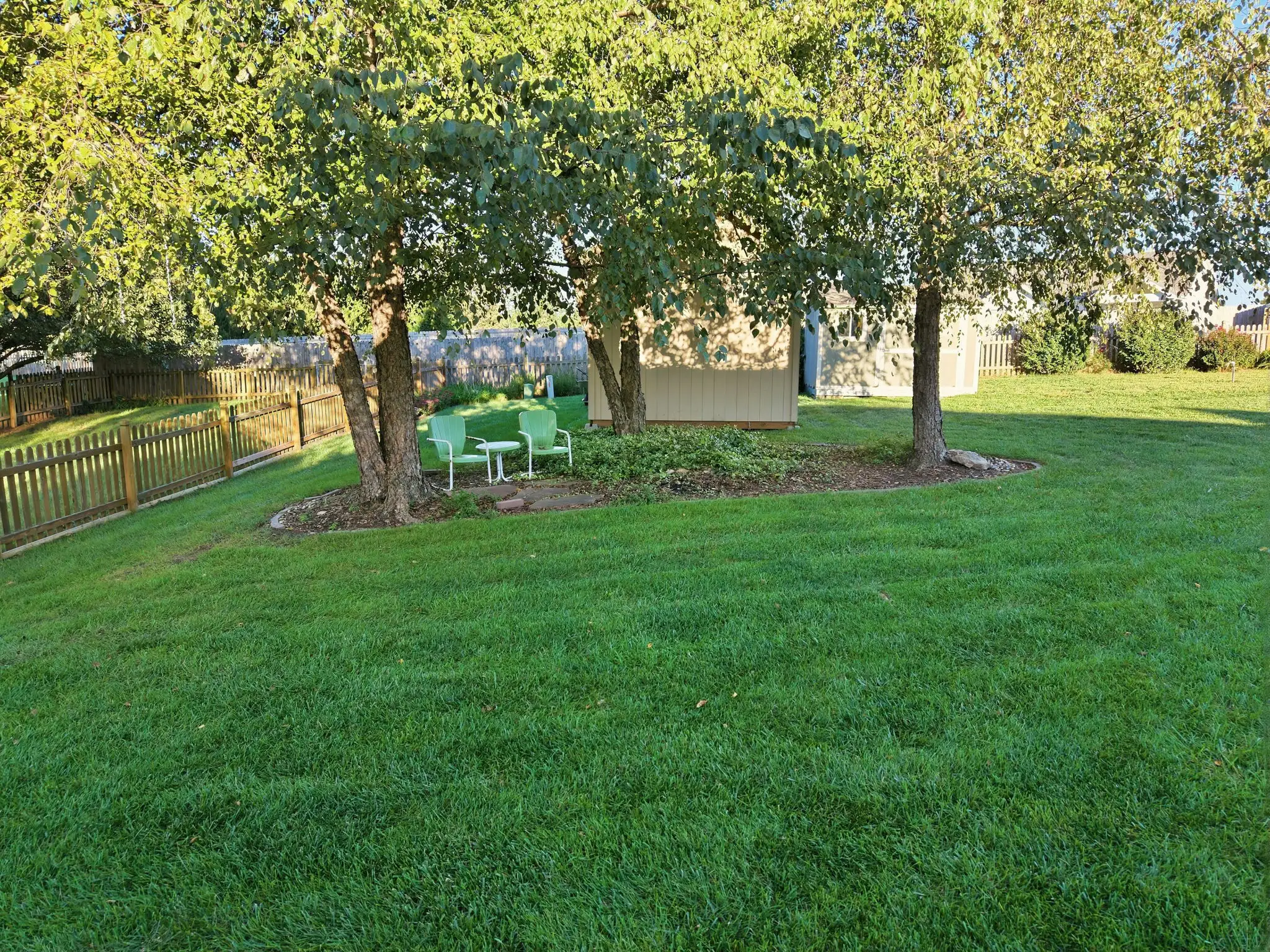 Seating area under three birch trees with storage sheds in the fenced backyard
