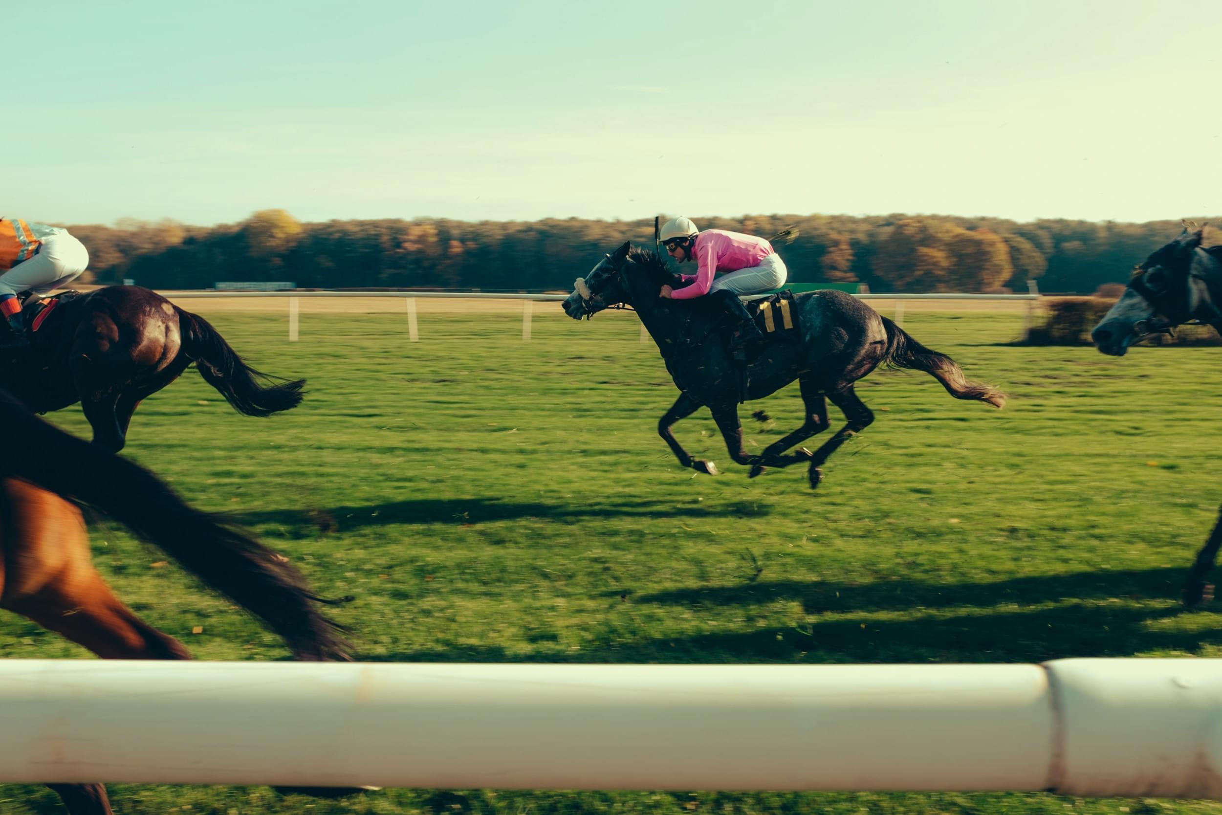 Horses and riders racing across grass