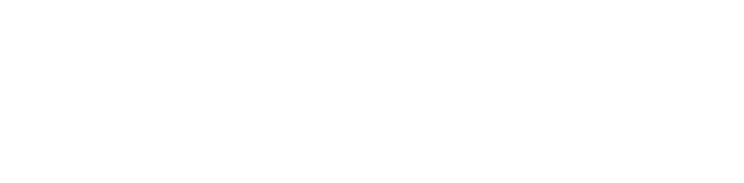 David Shapiro Realty