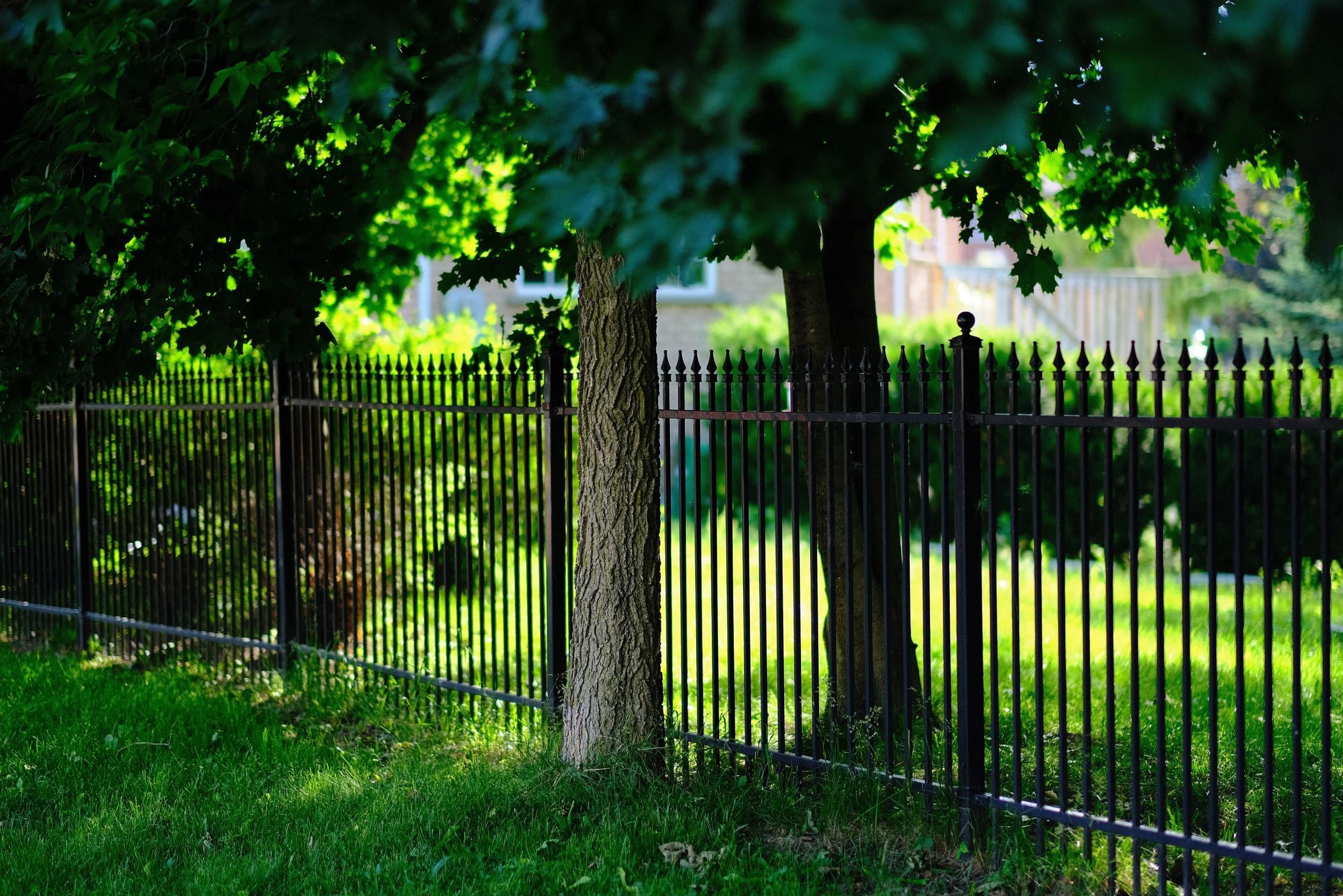 A traditional wrought iron fence with trees and a green yard