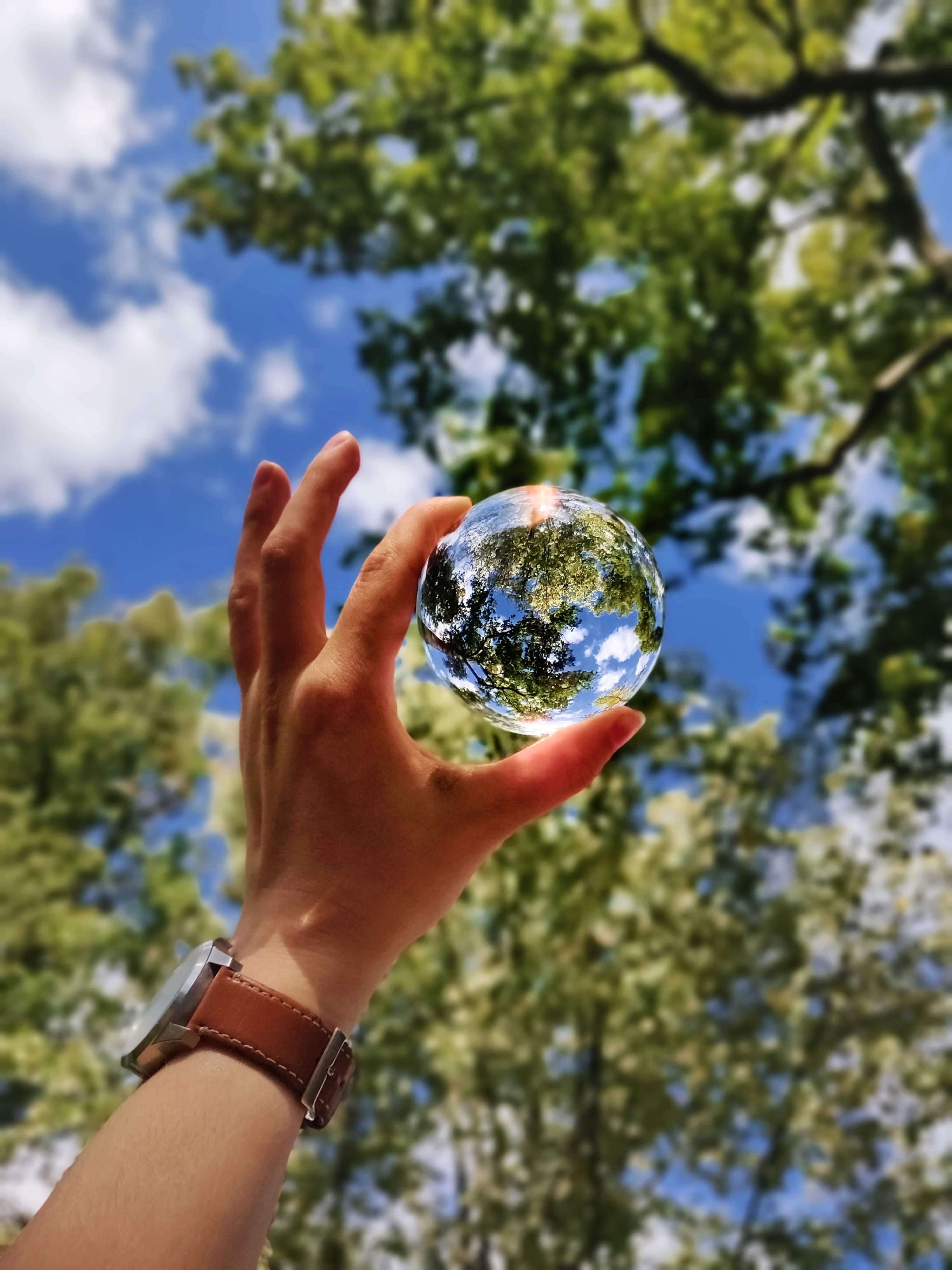 A hand holding a glass sphere up to a tree with a blue sky in the background. The reflection of the tree and sky in the ball makes it look like a globe.
