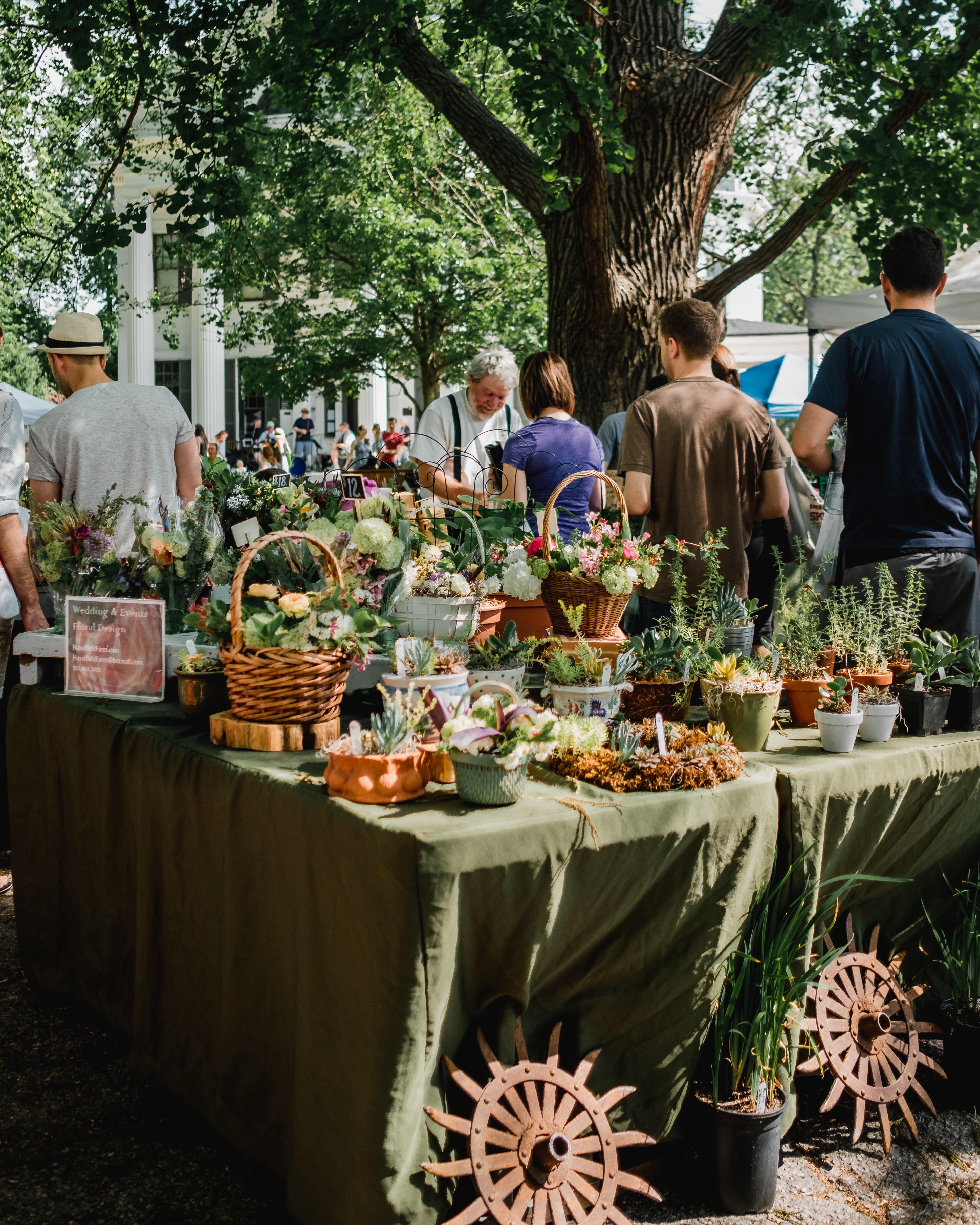 A farmers market with people and tables holding plants, fresh flowers, and produce under a large tree