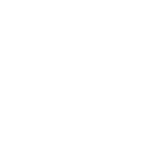 The Lake Life Realty Team