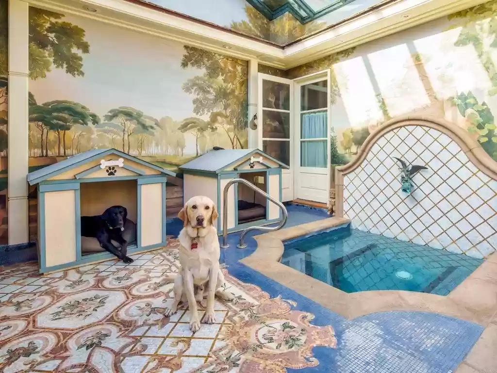 Luxury dog space with pool and dog houses