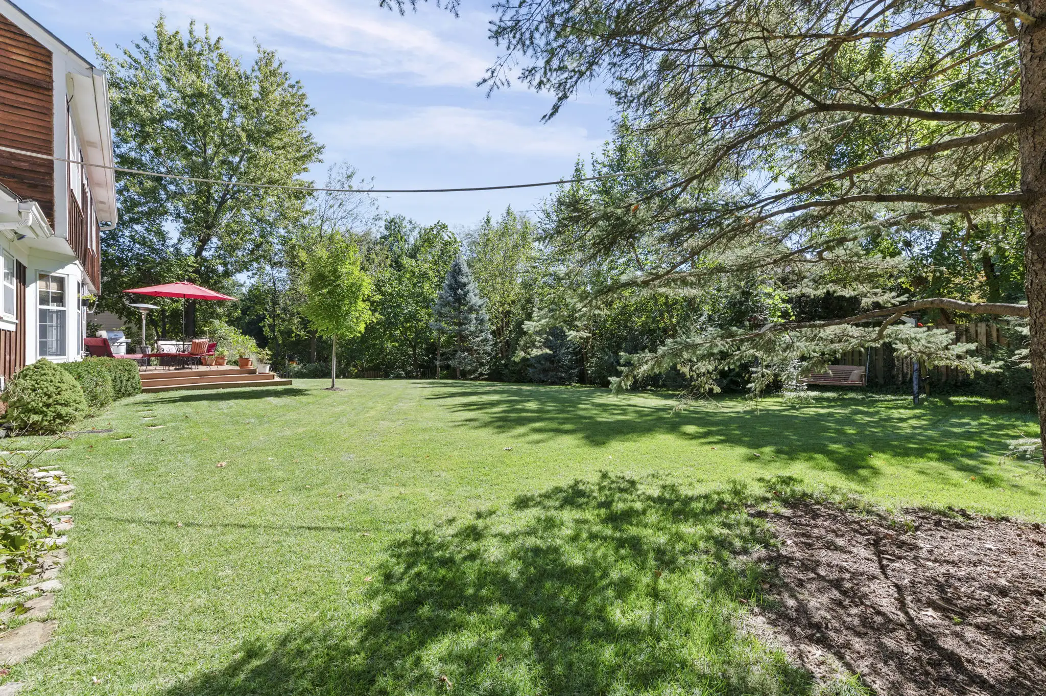 Backyard lawn lined with evergreens and shade trees