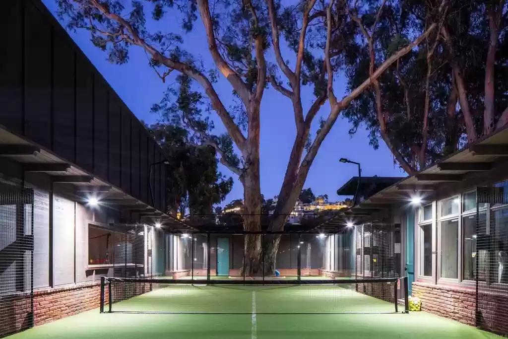 Tennis court with tree