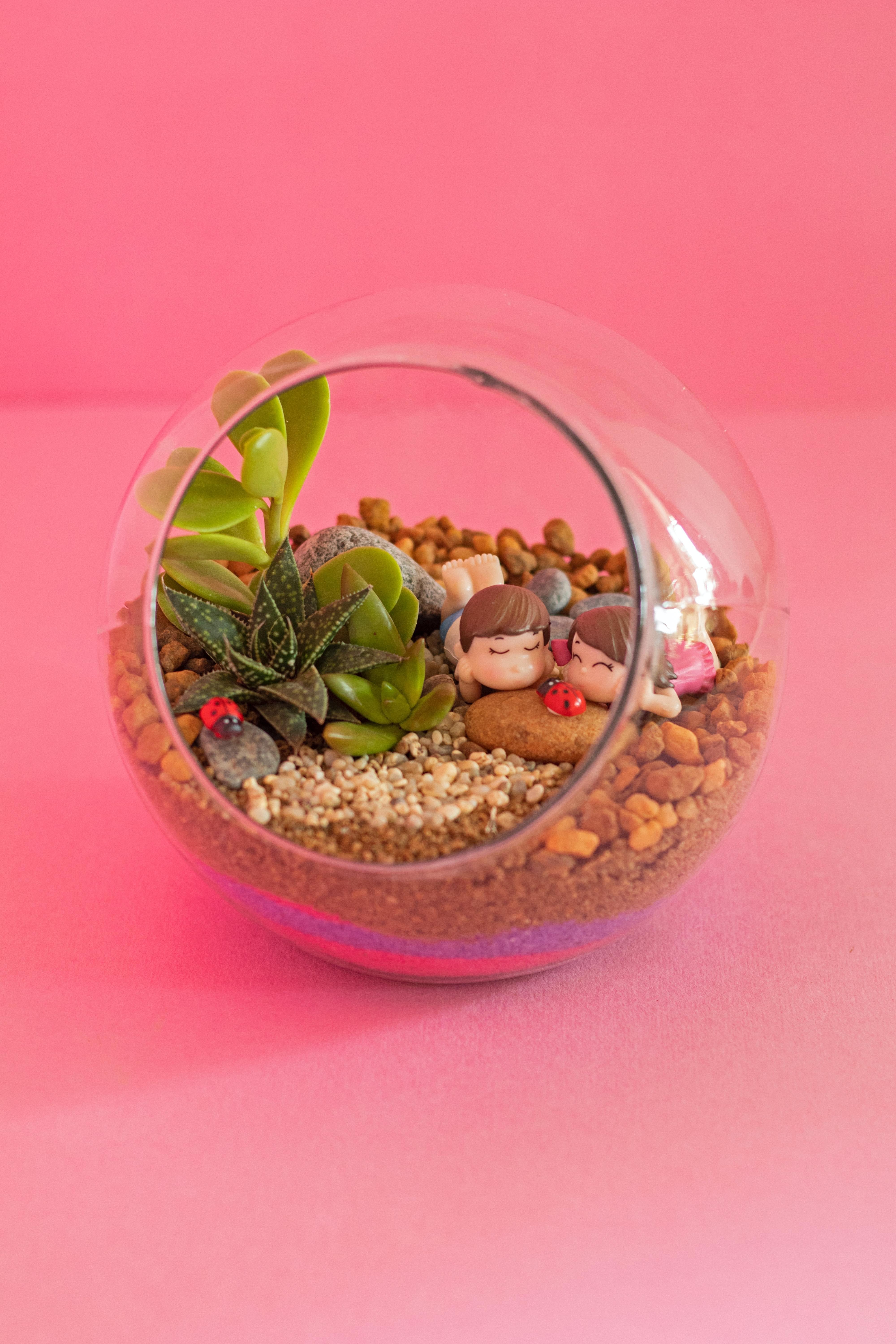 A small glass globe terrarium with gravel, small succulents, and cute dolls in front of a pink background