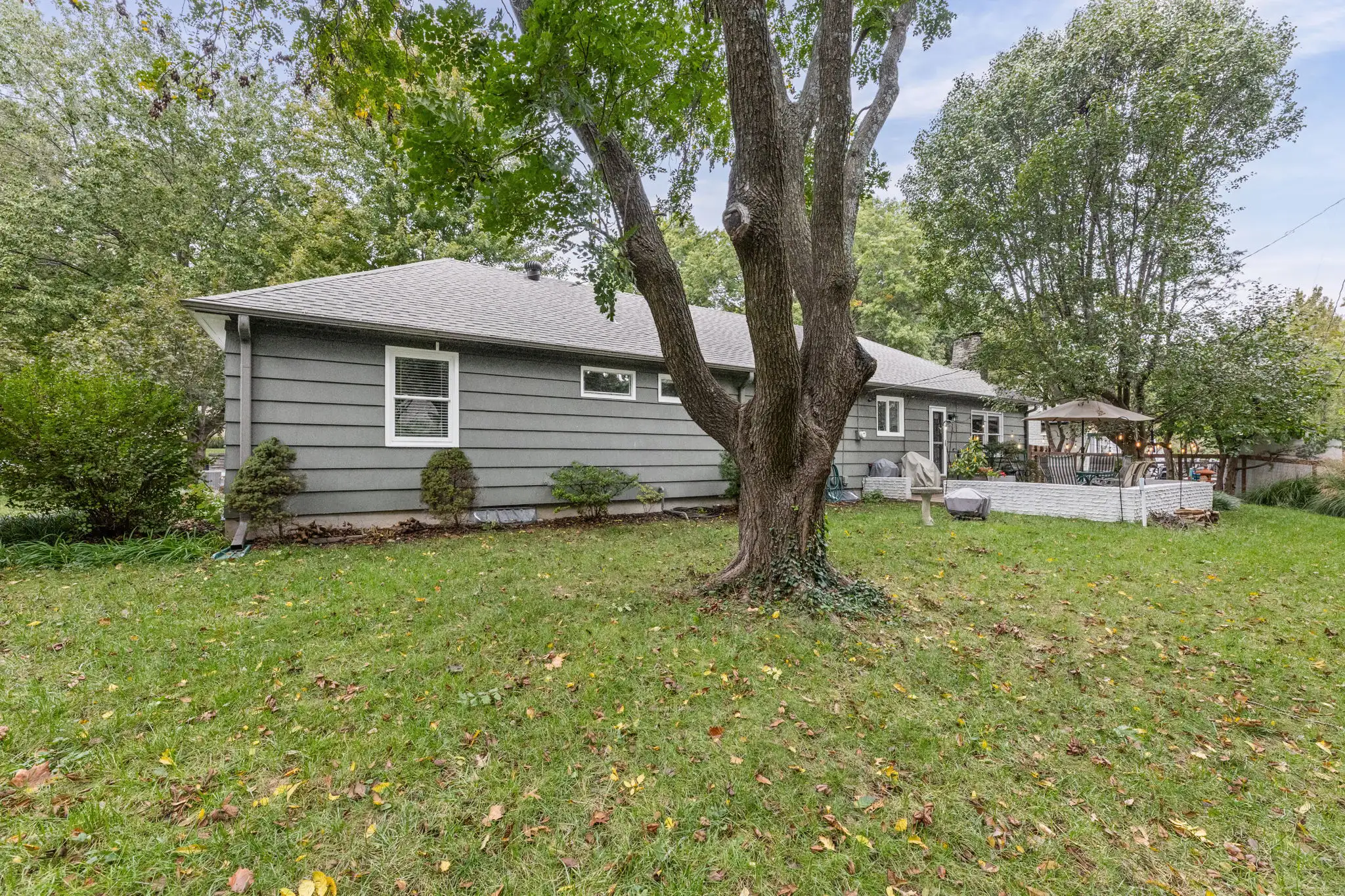 Backyard lawn with a mature shade tree and the rear of the ranch home