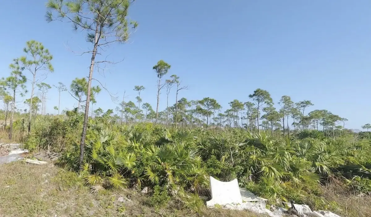 Arden Forest, Lot 14, Freeport, Grand Bahamas