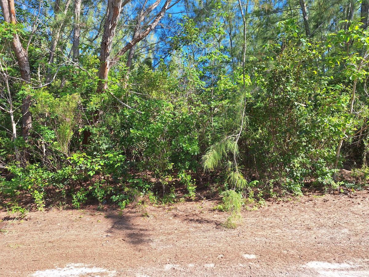 Lot 3, Bahama Palm Shores