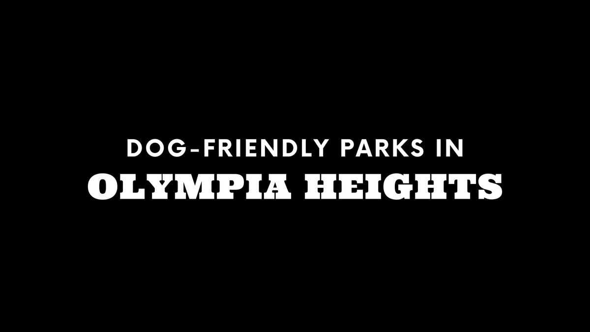 Dog-Friendly Parks in Olympia Heights