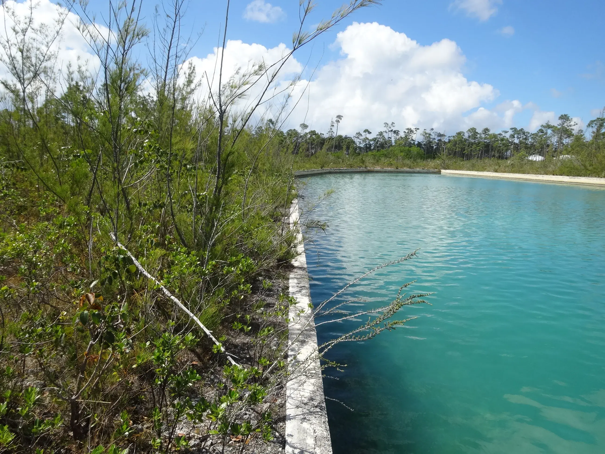 Sentinel Bay, Freeport Bahamas