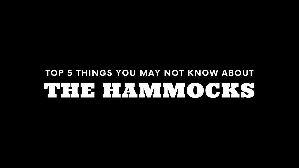 Top 5 Things You May Not Know About The Hammocks