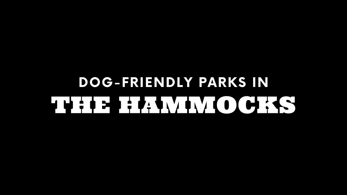 Dog-Friendly Parks in The Hammocks