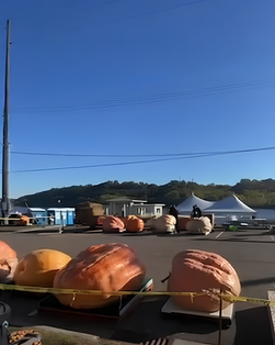 Illustration of Harvest Fest in Lowell Park: a crane hoisting a giant pumpkin beside a Ferris wheel